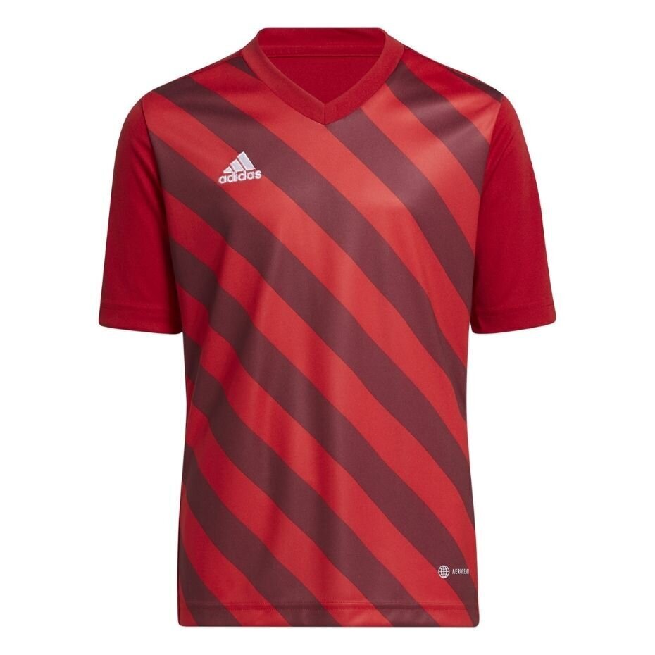 Bērnu T-krekls Adidas Entrada 22 Graphic Jersey H58983, sarkans cena un informācija | Futbola formas un citas preces | 220.lv