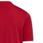 Bērnu T-krekls Adidas Entrada 22 Graphic Jersey H58983, sarkans cena un informācija | Futbola formas un citas preces | 220.lv