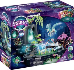 70800 PLAYMOBIL® Adventures of Ayuma, Maģisks enerģijas avots цена и информация | Конструкторы и кубики | 220.lv