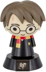 Paladone Harry Potter - Harry Potter Icon цена и информация | Атрибутика для игроков | 220.lv