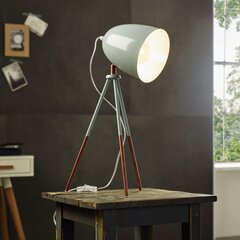 EGLO galda lampa Dundee Mint, 49337 цена и информация | Настольные лампы | 220.lv