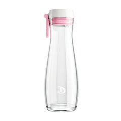 Stikla karafe BWT Standard 1,1 l cena un informācija | Ūdens pudeles | 220.lv