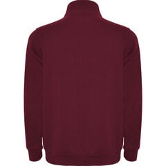 Мужской свитер Aneto бордовый цена и информация | Мужские свитера | 220.lv
