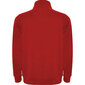Vīriešu džemperis ANETO, sarkans цена и информация | Vīriešu džemperi | 220.lv