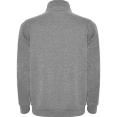 Vīriešu džemperis ANETO, pelēks cena un informācija | Roly Apģērbi, apavi, aksesuāri | 220.lv