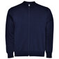 Vīriešu džemperis ELBRUS, tumši zils цена и информация | Vīriešu džemperi | 220.lv