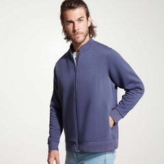 Мужской свитер Elbrus темно-фиолетовый цена и информация | Мужские свитера | 220.lv