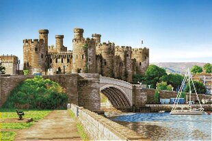 Алмазная мозаика Conwy Castle Wales 50x75 см цена и информация | Алмазная мозаика | 220.lv