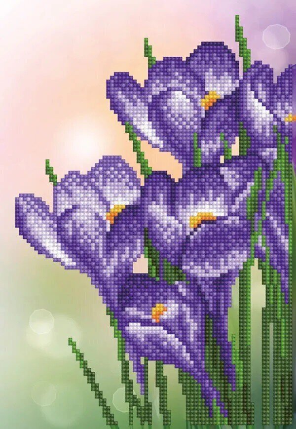 Dimantu mozaīka Spring Crocus 32x22 cm cena un informācija | Dimantu mozaīkas | 220.lv