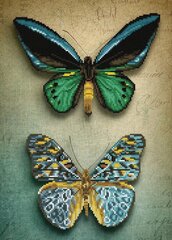 Dimantu mozaīka Antique Butterflies 51,5x37 cm cena un informācija | Dimantu mozaīkas | 220.lv