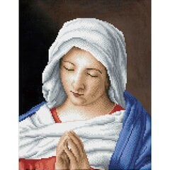 Алмазная мозаика The virgin in prayer 35x45 см цена и информация | Алмазная мозаика | 220.lv