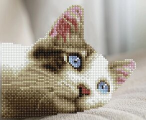 Алмазная мозаика Daydream Kitty 25x20,5 см цена и информация | Алмазная мозаика | 220.lv