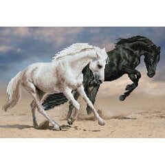 Dimanta mozaīka Horse play 42x62 cm cena un informācija | Dimantu mozaīkas | 220.lv