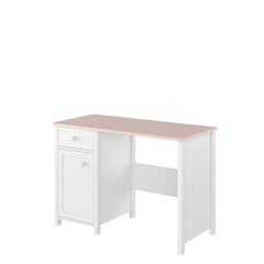 Стол письменный 1D1S Luna LN03-biały / róż + biały цена и информация | Компьютерные, письменные столы | 220.lv
