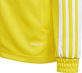 Bērnu džemperis Adidas Squadra 21 dzeltens GP6453 176 cm cena un informācija | Futbola formas un citas preces | 220.lv