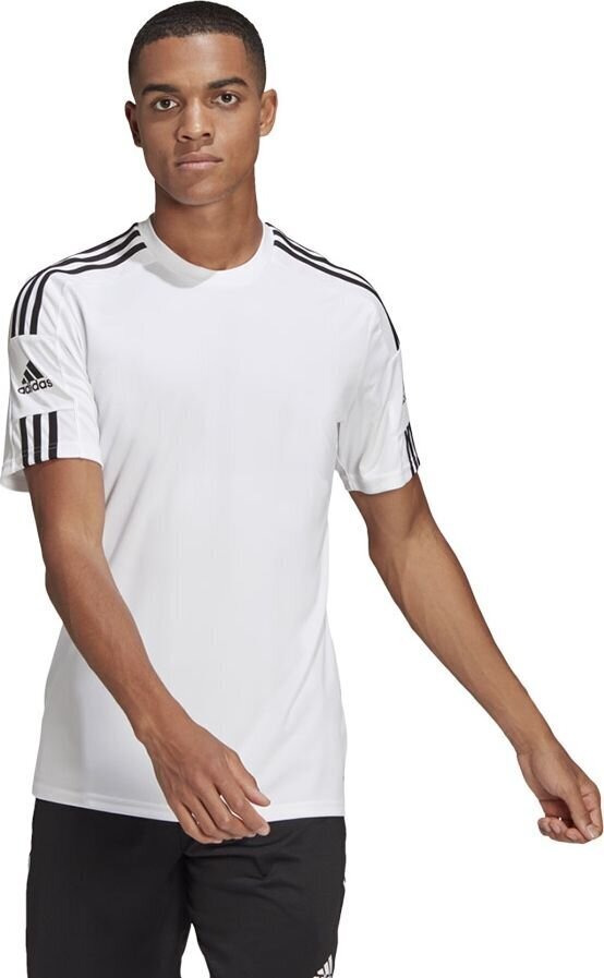 Vīriešu T-krekls Adidas Squadra 21 GN5726, balts цена и информация | Futbola formas un citas preces | 220.lv