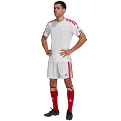 Мужские шорты Adidas Squadra 21 GN5770, белый/красный цена и информация | Футбольная форма и другие товары | 220.lv