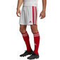 Vīriešu šorti Adidas Squadra 21 GN5770, balti/sarkani cena un informācija | Futbola formas un citas preces | 220.lv