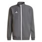 Vīriešu džemperis Adidas Entrada 22 H57535, pelēks cena un informācija | Futbola formas un citas preces | 220.lv