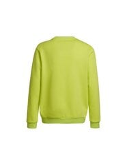 Bērnu džemperis Adidas Entrada 22 HC5043, citronu krāsā cena un informācija | Zēnu jakas, džemperi, žaketes, vestes | 220.lv