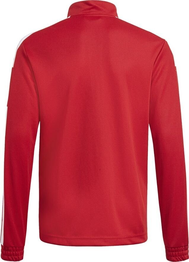 Bērnu džemperis Adidas Squadra 21 sarkans GP6458, 152 cm cena un informācija | Zēnu jakas, džemperi, žaketes, vestes | 220.lv