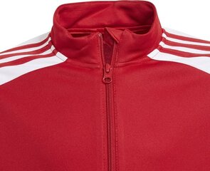 Bērnu džemperis Adidas Squadra 21 sarkans GP6458, 152 cm цена и информация | Свитеры, жилетки, пиджаки для мальчиков | 220.lv