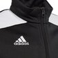 Bērnu džemperis Adidas Regista 18 JUNIOR black CZ8629 цена и информация | Futbola formas un citas preces | 220.lv