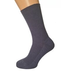 Мужские носки 100% хлопок, с противогрибковыми свойствами, forA, серые цена и информация | Мужские носки | 220.lv