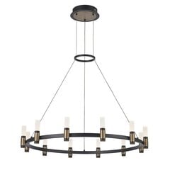 Iekarināma lampa PND-280110130-12A-MBL цена и информация | Люстры | 220.lv