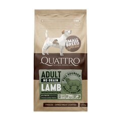 Quattro Small Breed Adult sausa bezgraudu monoproteīna barība mazo šķirņu suņiem, ar jēru, 7kg цена и информация | Сухой корм для собак | 220.lv