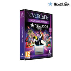 Blaze Evercade Technos Arcade Cartridge 1 - EFIGS cena un informācija | Datorspēles | 220.lv