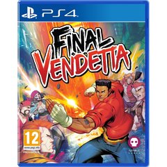 PS4 Final Vendetta - Super Limited Edition цена и информация | Компьютерные игры | 220.lv