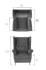 Кресло Aros-MatVelvet 68 цена и информация | Кресла для отдыха | 220.lv