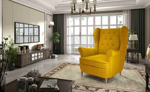 Кресло Aros-Omega 68 цена и информация | Кресла в гостиную | 220.lv