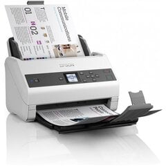 Epson B11B251401 цена и информация | Сканеры | 220.lv