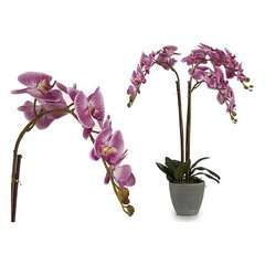Mākslīgā orhideja 77 x 50 cm tumši rozā/antracīts - cena un informācija | Dārza dekori | 220.lv