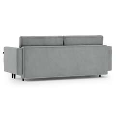 Трехместный диван Homede Lova, светло-серый цвет цена и информация | Диваны | 220.lv