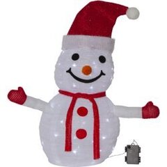 Светодиодный снеговик Tecidy 857-40, 2.7Вт, 76х70 см  цена и информация | Рождественские украшения | 220.lv