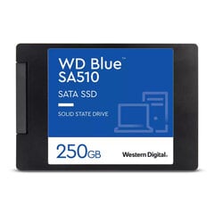 SSD|WESTERN DIGITAL|Blue SA510|250GB|SATA 3.0|Rakstīšanas ātrums 440 MB/sec|Lasīšanas ātrums 555 MB/sec|2,5"|TBW 100 TB|MTBF 1750000 stundas|WDS250G3B цена и информация | Внутренние жёсткие диски (HDD, SSD, Hybrid) | 220.lv