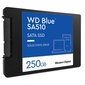 SSD|WESTERN DIGITAL|Blue SA510|250GB|SATA 3.0|Rakstīšanas ātrums 440 MB/sec|Lasīšanas ātrums 555 MB/sec|2,5"|TBW 100 TB|MTBF 1750000 stundas|WDS250G3B цена и информация | Iekšējie cietie diski (HDD, SSD, Hybrid) | 220.lv