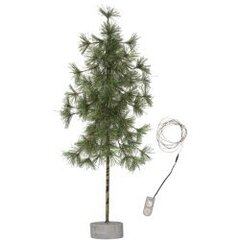 LED Gaismas dekors kociņ&scaron; uz baterijām zaļ&scaron; 0,06W 27x60cm Pine 600-36 cena un informācija | Ziemassvētku dekorācijas | 220.lv