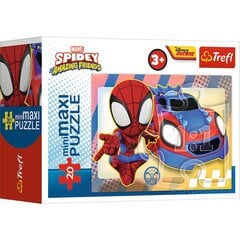 Пазл Trefl Spider Man, 20 дет. цена и информация | Пазлы | 220.lv