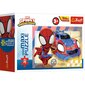 TREFL SPIDER-MAN Mini Maxi puzle Spidey, 20 gab. цена и информация | Puzles, 3D puzles | 220.lv