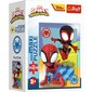 TREFL SPIDER-MAN Mini Maxi puzle Spidey, 20 gab. цена и информация | Puzles, 3D puzles | 220.lv