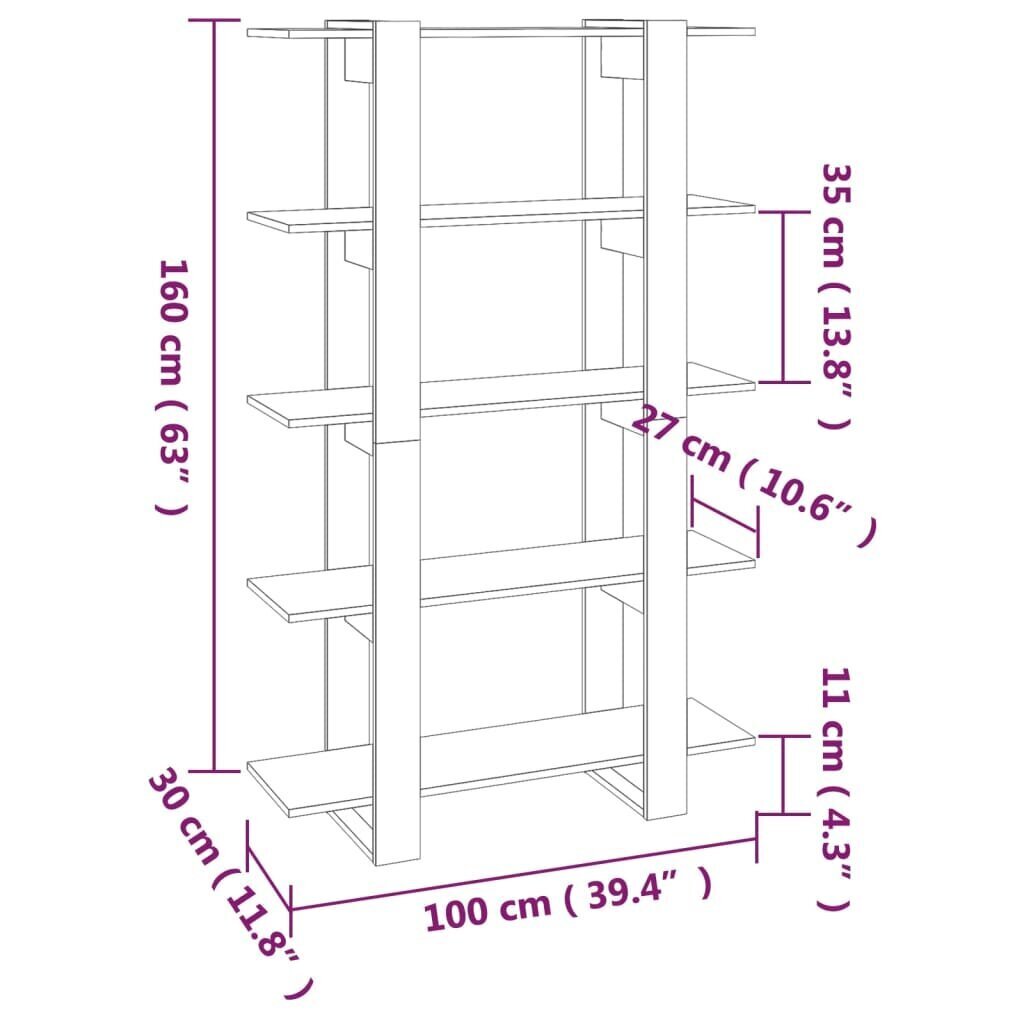 vidaXL grāmatu plaukts, aizslietnis, ozolkoka krāsa, 100x30x160 cm cena un informācija | Plaukti | 220.lv