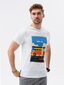 Vīriešu T-krekls S1434 цена и информация | Vīriešu T-krekli | 220.lv