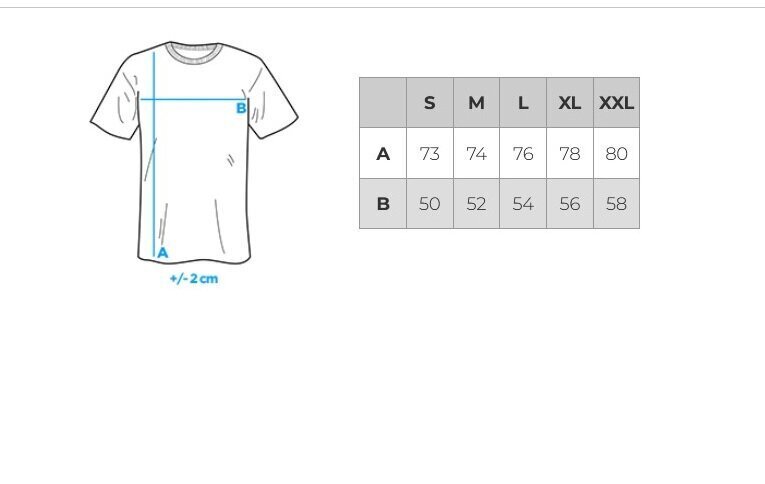 Vīriešu T-krekls S1434 cena un informācija | Vīriešu T-krekli | 220.lv