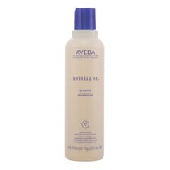 Шампунь для ежедневного применения Brilliant Aveda (250 мл) цена и информация | Шампуни | 220.lv