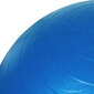 Vingrošanas bumba Profit 75 cm, zila ar sūkni DK 2102 cena un informācija | Vingrošanas bumbas | 220.lv