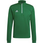 Vīriešu treniņu džemperis Adidas Entrada 22 HI2129, zaļš цена и информация | Futbola formas un citas preces | 220.lv